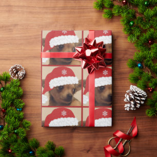Papel de relleno para navidades Chihuahua