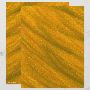 Papel de Scrapbook de Campo de Trigo ET Página de