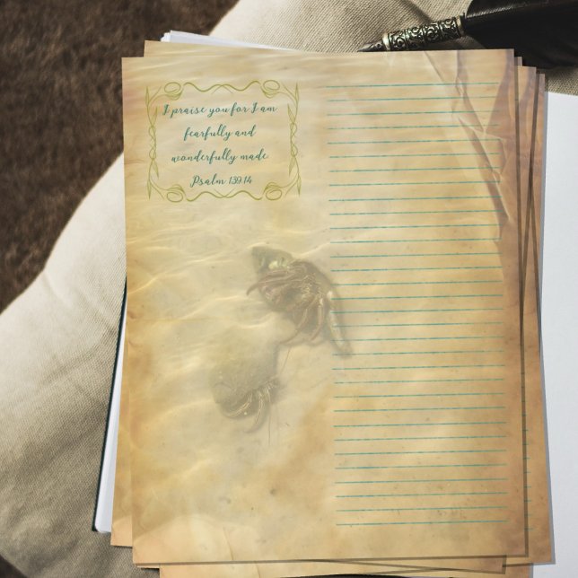Papel de Scrapbook de Escrituras de Cangrejos Ermi (Subido por el creador)