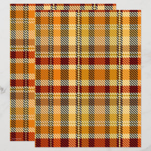 Papel de Scrapbook ET Plaid Página 2 Caras