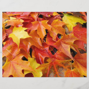 Papel de scrapbooking hojas de otoño Hojas de otoñ