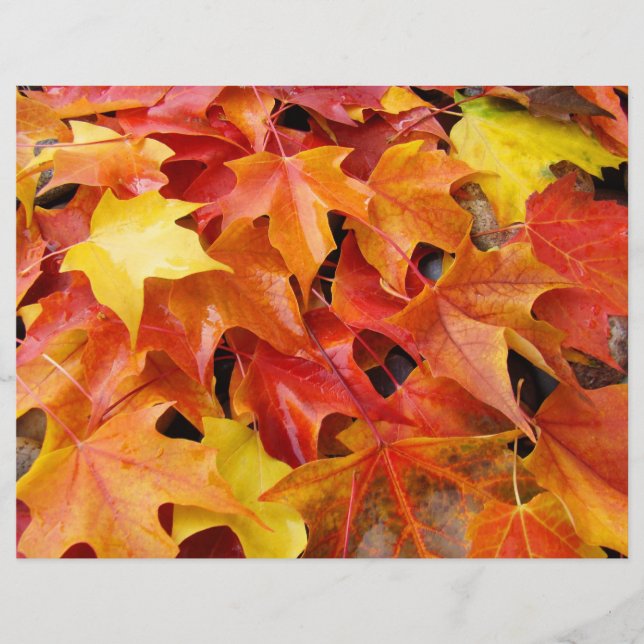 Papel de scrapbooking hojas de otoño Hojas de otoñ (Anverso)