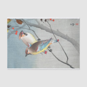 PAPEL DE SEDA レ・ ジ・と い 実