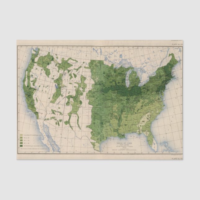 Papel De Seda 155 maíces/acre (Anverso)