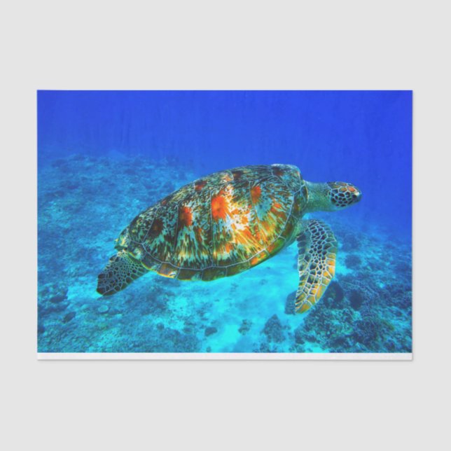 Papel De Seda 30 subacuáticos (Anverso)