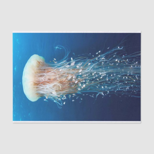 Papel De Seda 31 subacuáticos (Anverso)