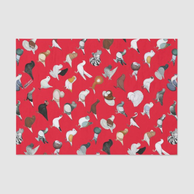 Papel De Seda 36 razas de la paloma (Anverso)