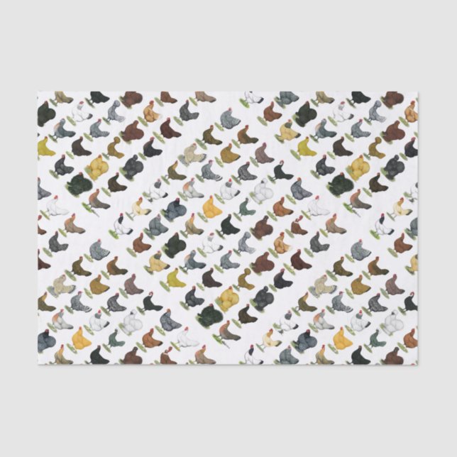 Papel De Seda 49 gallinas del pollo (Anverso)