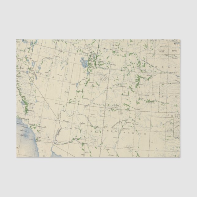 Papel De Seda 54 áreas irrigaron 1889 (Anverso)