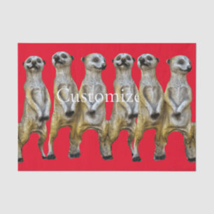 Papel De Seda 6 Meerkats permanentes Thunder_Cove