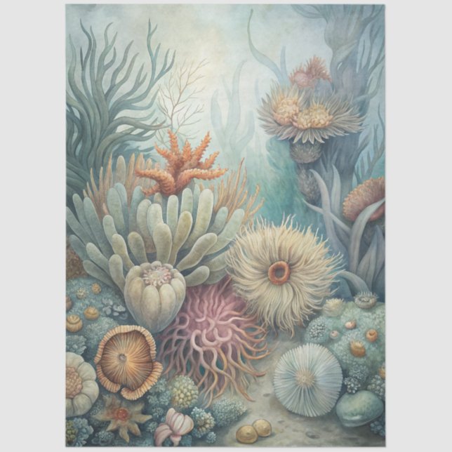 Papel De Seda A Coastal Series Design 43 (Anverso)