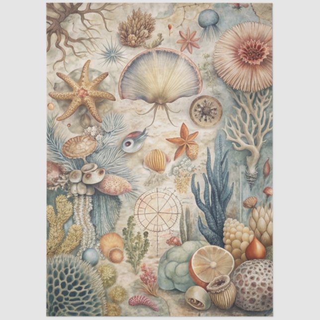 Papel De Seda A Coastal Series Design 46 (Anverso)