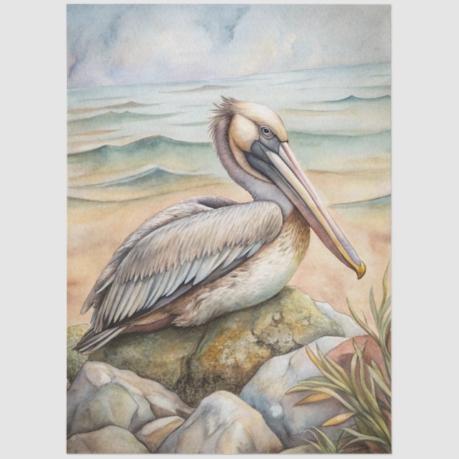 Papel De Seda A Coastal Series Design 50 (Anverso)