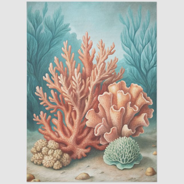 Papel De Seda A Coastal Series Design 55 (Anverso)