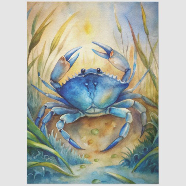 Papel De Seda A Coastal Series Design 80 (Anverso)