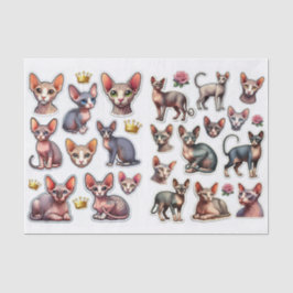 Papel De Seda A Fantastic Mix of Hairless Cats Illustrations