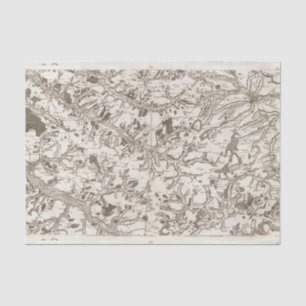 Papel De Seda Abbeville