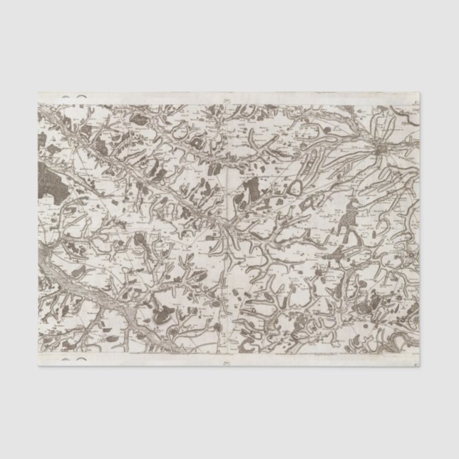 Papel De Seda Abbeville (Anverso)