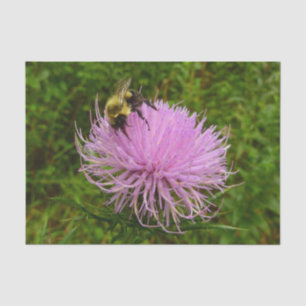 Papel De Seda Abeja en Flor de Cardo Naturaleza