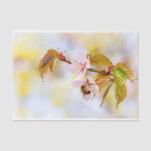 Papel De Seda Abeja En Una Flor De Cerezo