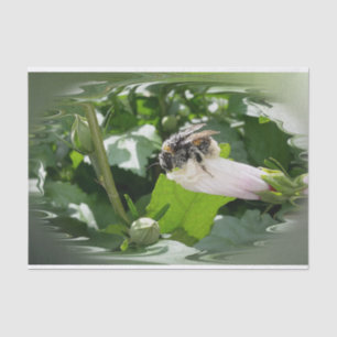 Papel De Seda Abeja en verano