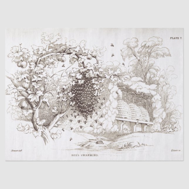 Papel De Seda Abejas de cosecha (Anverso)