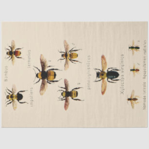 Papel De Seda Abejas de época