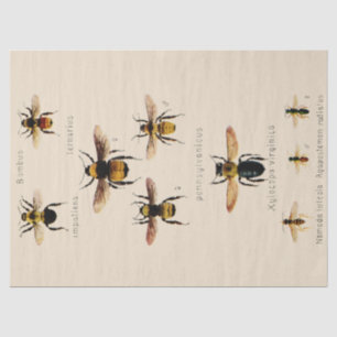 Papel De Seda Abejas de época