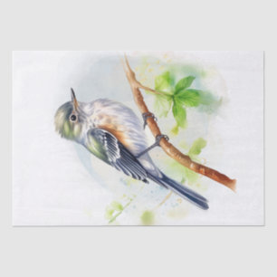 Papel De Seda Acadian Flycatcher Bird
