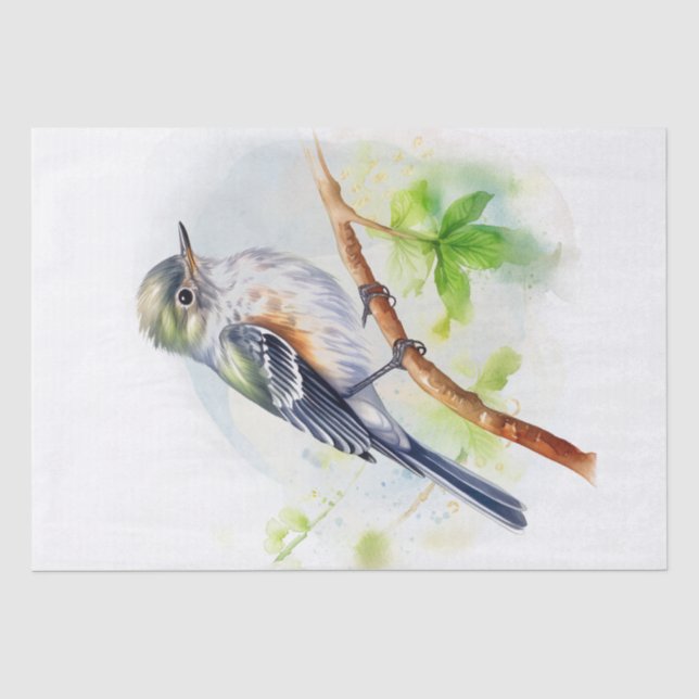 Papel De Seda Acadian Flycatcher Bird (Anverso)