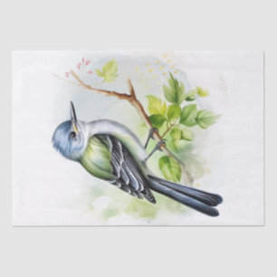 Papel De Seda Acadian Flycatcher Bird