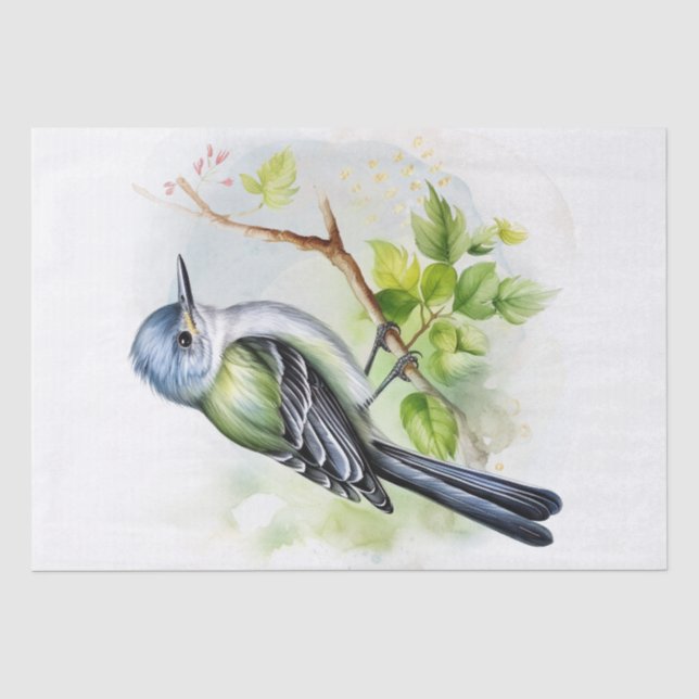 Papel De Seda Acadian Flycatcher Bird (Anverso)