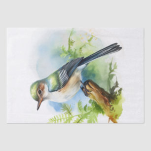 Papel De Seda Acadian Flycatcher Bird