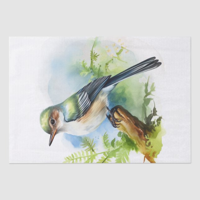 Papel De Seda Acadian Flycatcher Bird (Anverso)