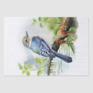 Papel De Seda Acadian Flycatcher Bird