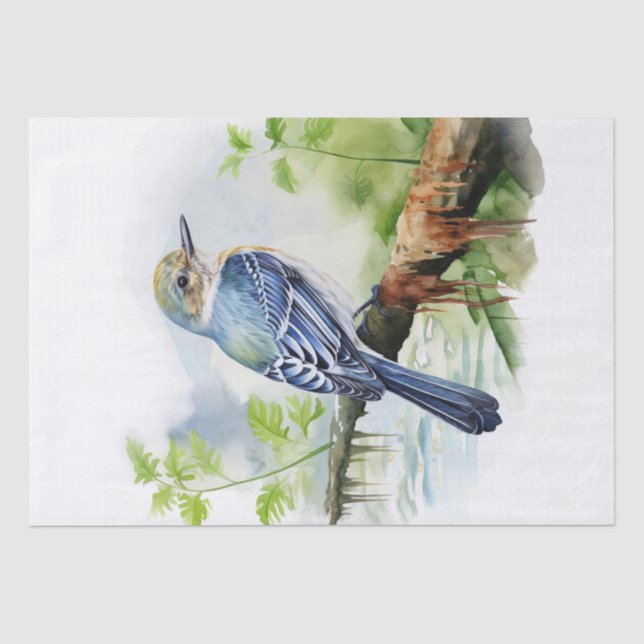 Papel De Seda Acadian Flycatcher Bird (Anverso)