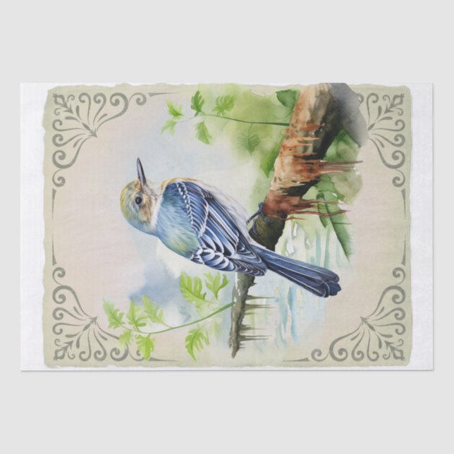 Papel De Seda Acadian Flycatcher Bird (Anverso)