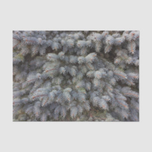 Papel De Seda Acero, gris, verde y azul de abeto elegante