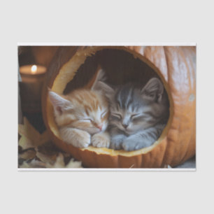 Papel De Seda Acogedores gatitos acurrucarse en una calabaza