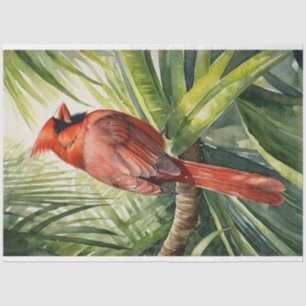 Papel De Seda Acuarela Cardinal Árbol Tropical Decoupage
