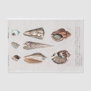 Papel De Seda acuarela costera vintage Tejido Paper