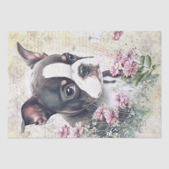 Papel De Seda Acuarela de Cachorro Territorial de Boston (Anverso)