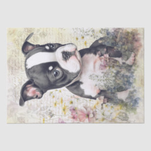 Papel De Seda Acuarela de Cachorro Territorial de Boston