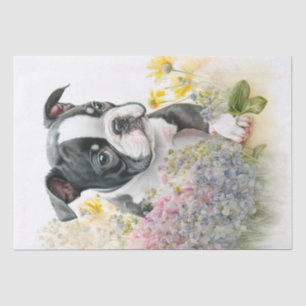 Papel De Seda Acuarela de Cachorro Territorial de Boston