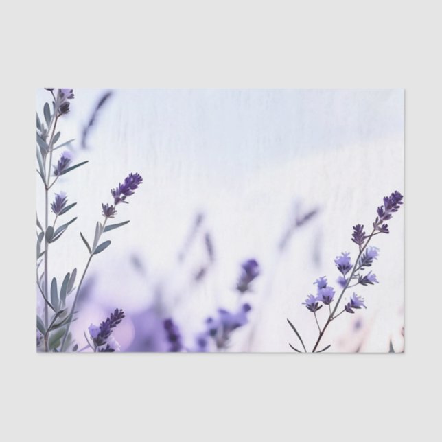 Papel De Seda Acuarela de lavanda romántica (Anverso)