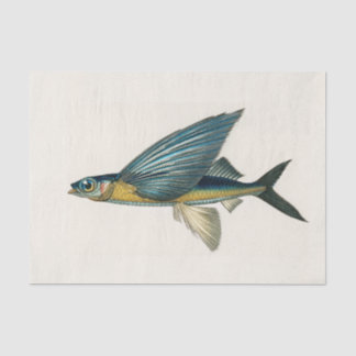 Papel De Seda acuarela de peces voladores vintage