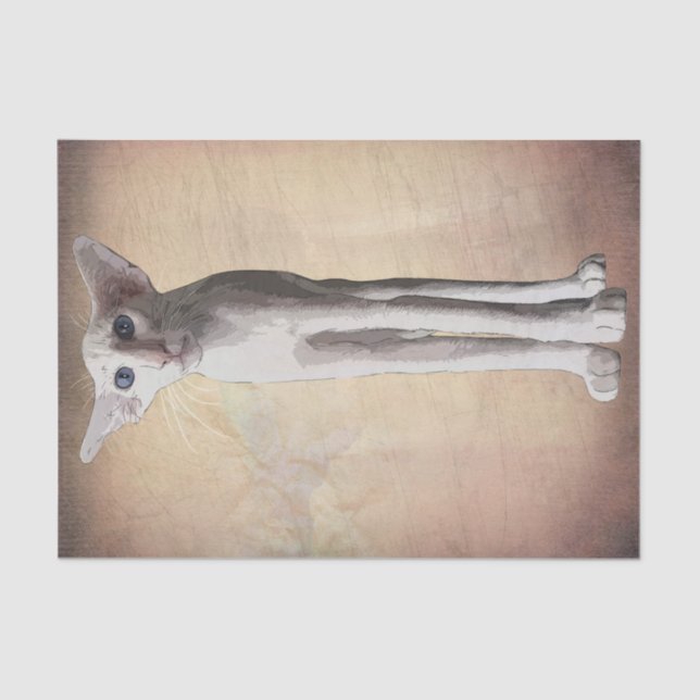 Papel De Seda Acuarela divertida de Personalizado de gato (Anverso)