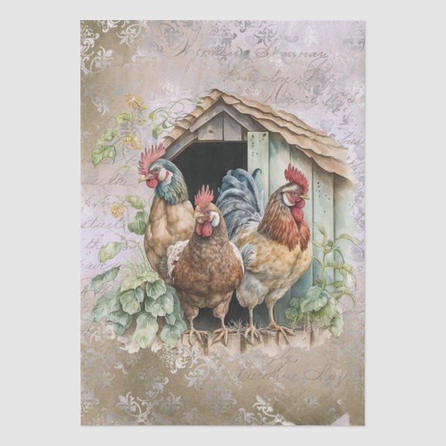 Papel de seda acuarela gallinas de granja de prima (Anverso)