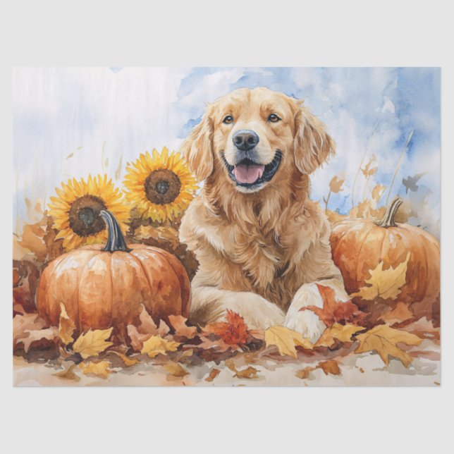 Papel De Seda Acuarela Golden Retriever with Pumpkin Decoupage (Anverso)
