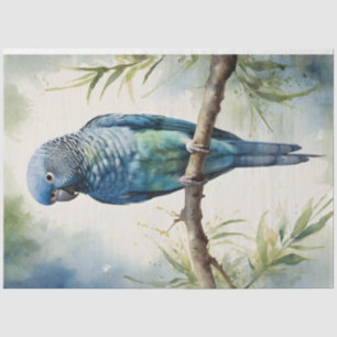 Papel De Seda Acuarela Loro Azul Eucalipto Decoupage
